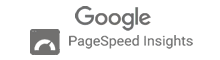 PageSpeed Insights free tool that reports on various metrics for analyzing the user experience and page speed of a webpage